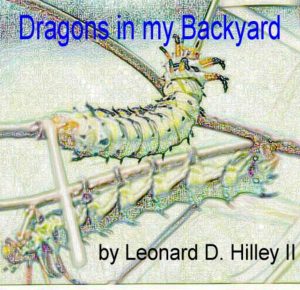 dragons-backyard